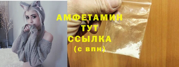 шишки Армянск