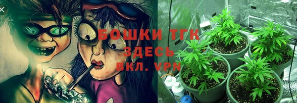 индика Медногорск