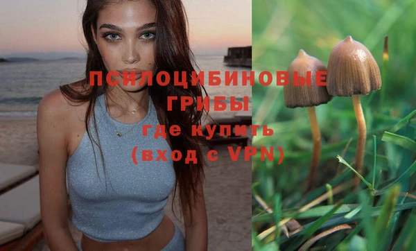 шишки Армянск