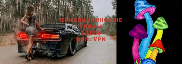 2c-b Аркадак
