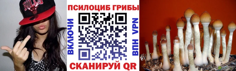 Галлюциногенные грибы мицелий  Рыльск 